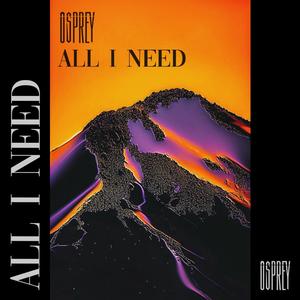 All I Need