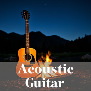 Acoustic Guitar