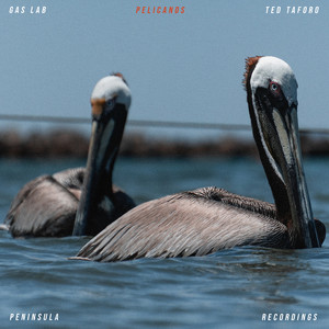Pelicanos