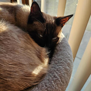 Watch That Van (feat. Summrs Archive) (Explicit)