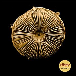 Raimund Bretterbauer - Viennese Bolero