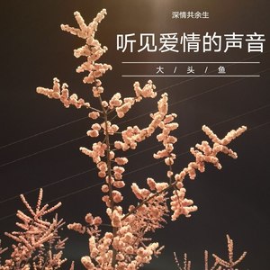 听见爱情的声音