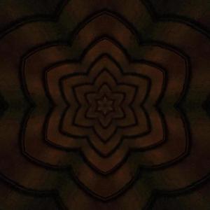 DNR