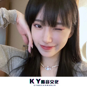 炸炸炸猪 (DJ版)