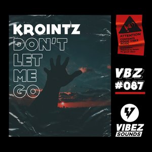 Don't Let Me Go (Extended Mix)