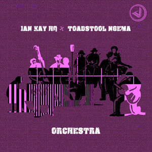 Orchestra