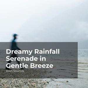 Rainfall Soundscape
