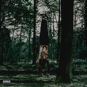 COSE STUPIDE (Explicit)