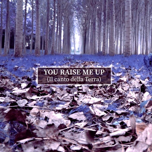 You Raise Me Up (Il canto della Terra) (Radio Edit)