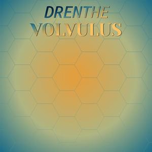 Drenthe Volvulus