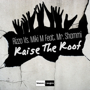 Raise the Roof (Extended Mix)