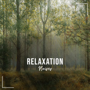 #19 Relaxation Noises