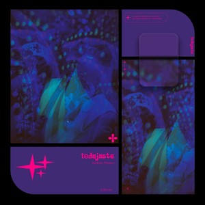 Te Dejaste (Explicit)