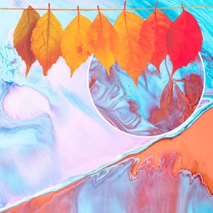 Computational Georgia