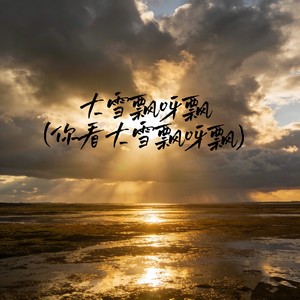 大雪飘呀飘(你看大雪飘呀飘)