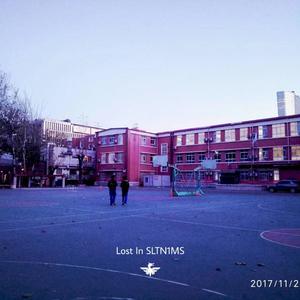 Lost In SLTN1MS (Final Version)