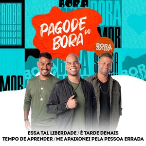 Essa Tal Liberdade / É Tarde Demais / Tempo de Aprender / Me Apaixonei Pela Pessoa Errada (Pagode do Bora 2, Ao Vivo)