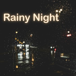 RainyNight