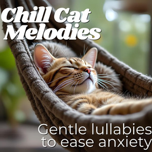 Chill Cat Melodies - Gentle Lullabies to Ease Anxiety