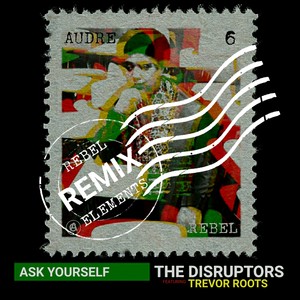 Ask Yourself (Rebel Elements Remix)