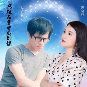 只能梦中见到你 (DJ版)