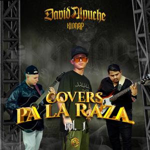 covers pa' la raza vol. 1.