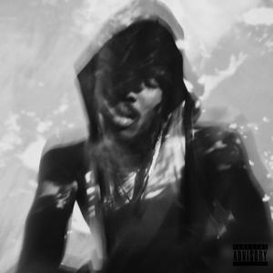 Memoirs Of A Don, Vol. 1 (Explicit)