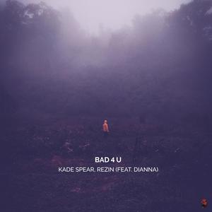 Bad 4 U (feat. Dianna)