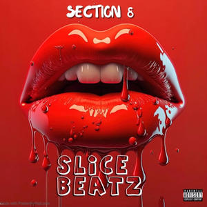 Section 8 (Explicit)