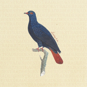 Fireworks-Peter Patrick Pedro