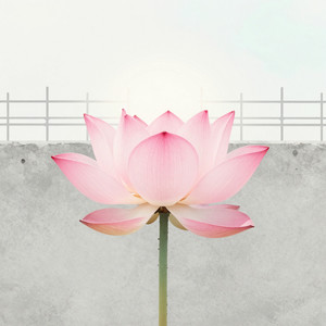 逍遥仙-黄祯