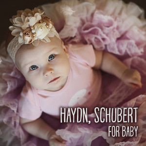 Haydn, Schubert for Baby – Brain Power, Einstein Effect Music Collection, Development of Child, Brilliant Toddler, Instrumental Songs for Kids