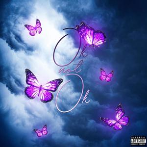 Ok not Ok (Explicit)