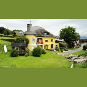 Dear Vienna(Rework)