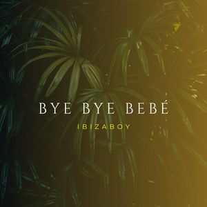 Bye bye bebé