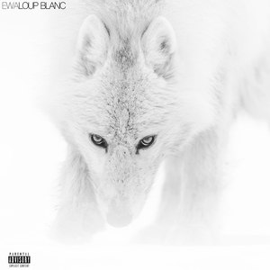 Loup Blanc