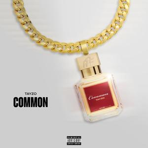 Common (Explicit)