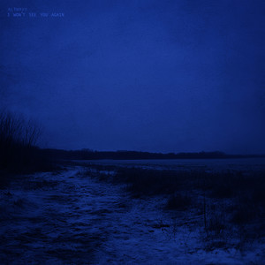 i won’t see you again