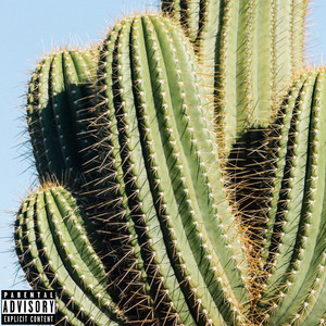 Virgulino (Explicit)