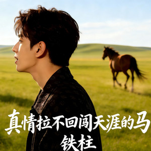 真情拉不回闯天涯的马 (摇滚版)