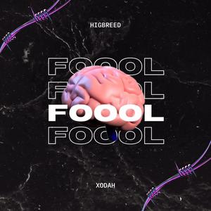 Fool (feat. Xodah) [Explicit]