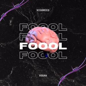 Fool (feat. Xodah) (Explicit)