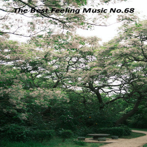 The Best Feeling Music No.68