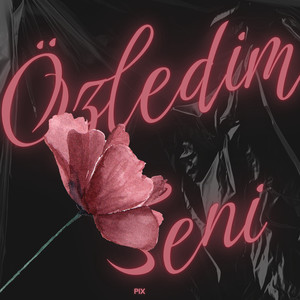 Özledim Seni