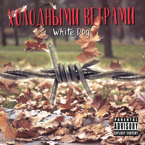 Холодными ветрами (prod. by Глок) (Explicit)