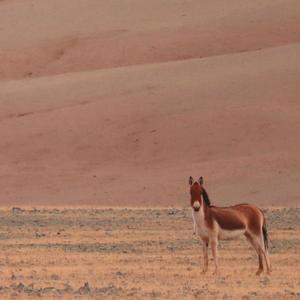 Nighstand (Explicit)