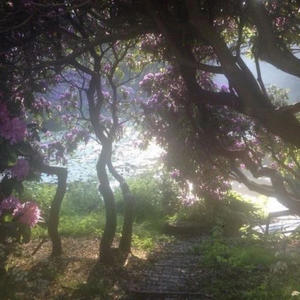 gone for a min (feat. maybens) (Explicit)