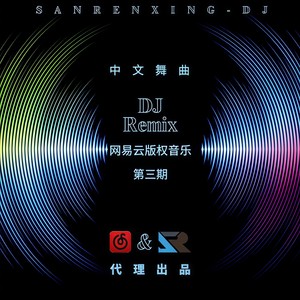 我还是没改变DJ (ProgHouse Rmx 车载版)