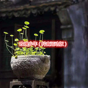 孙燕婷 - 祝你幸福
