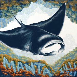 Manta